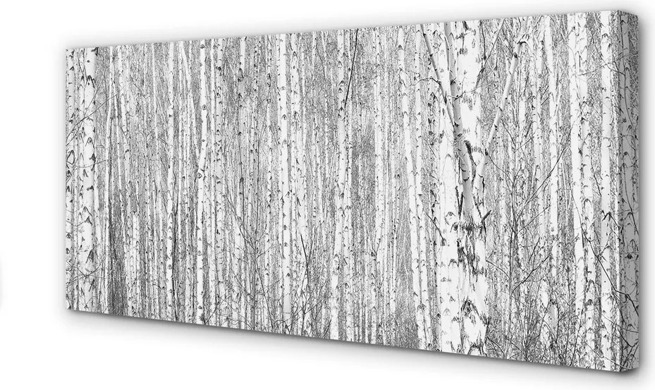 Obraz na płótnie Czarno-Biały Las