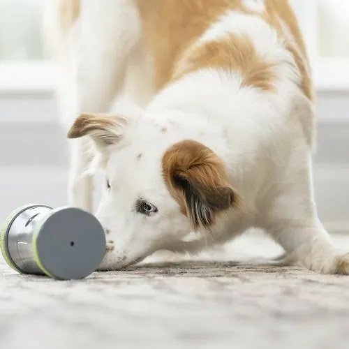 PetSafe® Kibble Chase™ Elektroniczna zabawka dlapsów