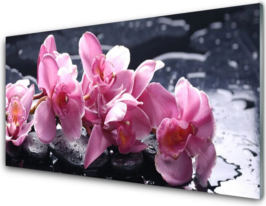 Panel Kuchenny Różowa Orchidea W Detalu