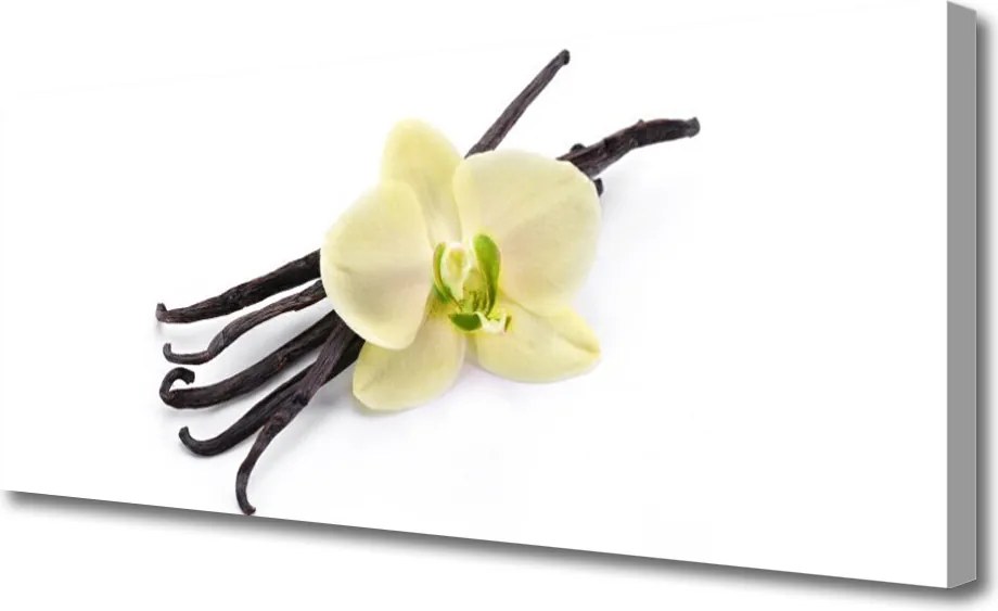 Obraz canvas Subtelny Rozkwit Natury