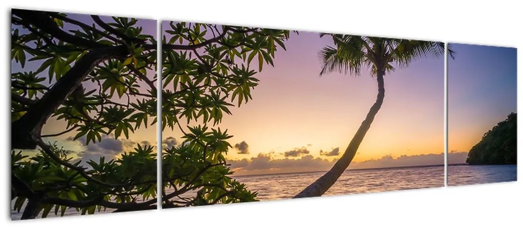 Obraz palmy na plaży (170x50 cm)