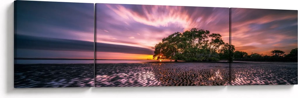 Obraz drzewa na plaży (170x50 cm)