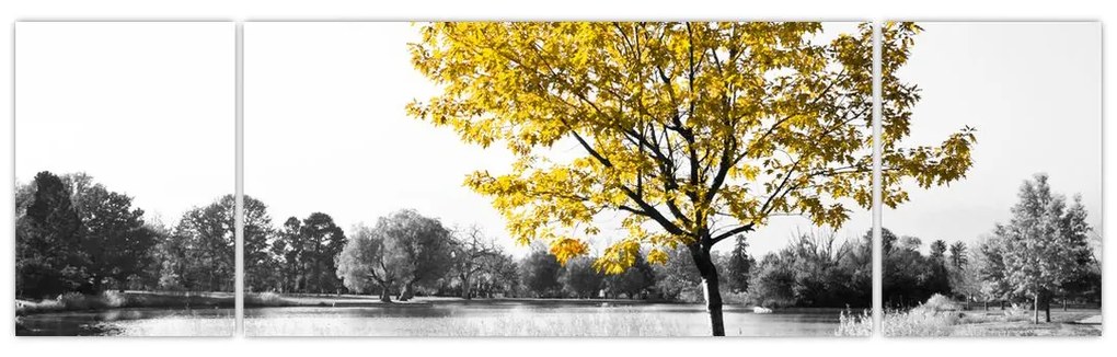 Obraz - Odpoczynek w parku (170x50 cm)