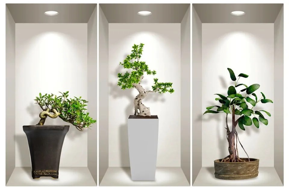 Komplet 3 naklejek ściennych 3D Ambiance Bonsai Plants