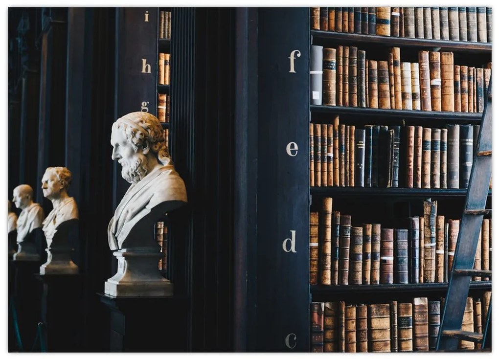 Obraz - W bibliotece (70x50 cm)