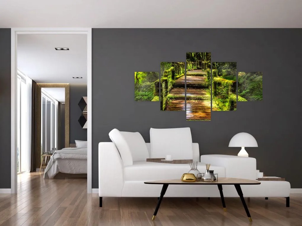 Obraz schodów w deszczowym pralesie (125x70 cm)