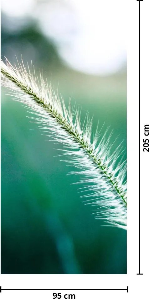 Fototapeta na drzwi - Źdźbło trawy (95x205cm)