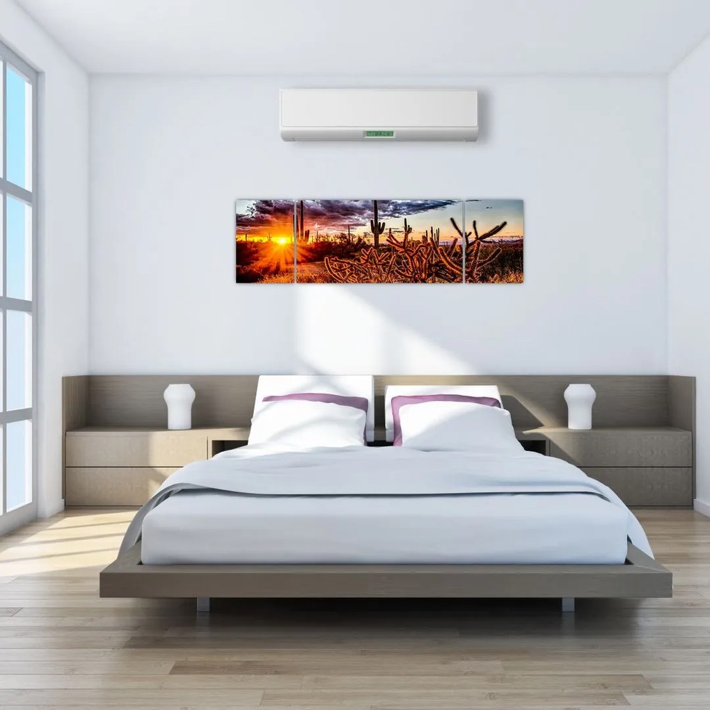 Obraz - Złota godzina pustyni (170x50 cm)