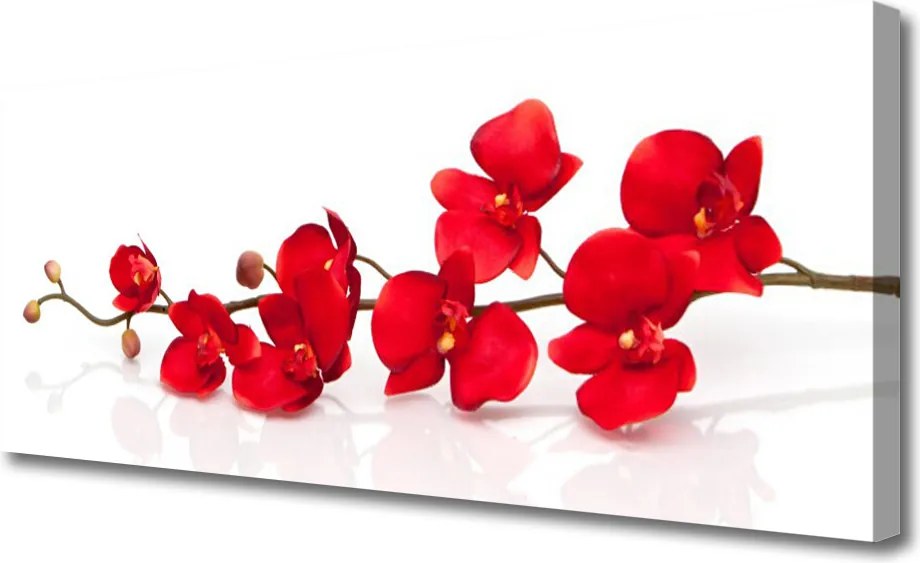 Obraz canvas Pełnia Kwiatowej Natury