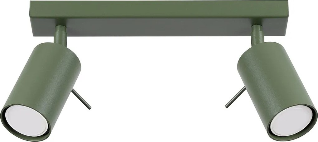 Lampa Sufitowa Nowoczesny Ring, Stal - 2 Źródło - L.30 X H.17 Cm - Zielony Oliwkowy