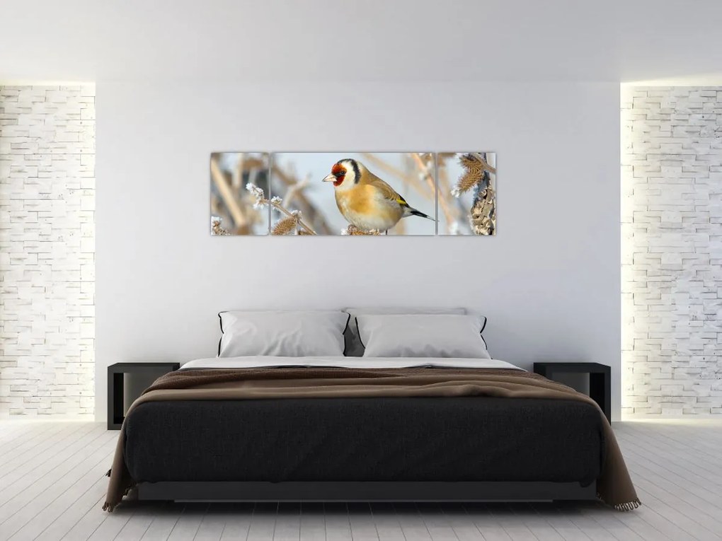 Obraz - Szczygieł (170x50 cm)
