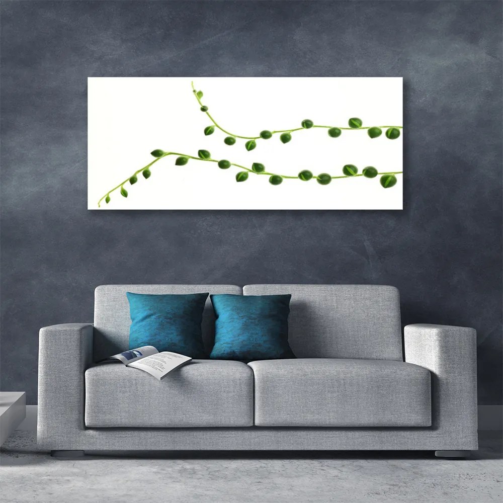 Zdjęcie na płótnie Stylowa Roślina Dekoracyjna