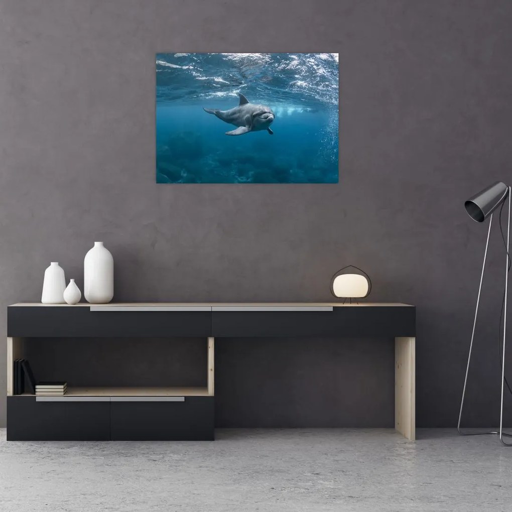 Obraz - Delfin pod wodą (70x50 cm)