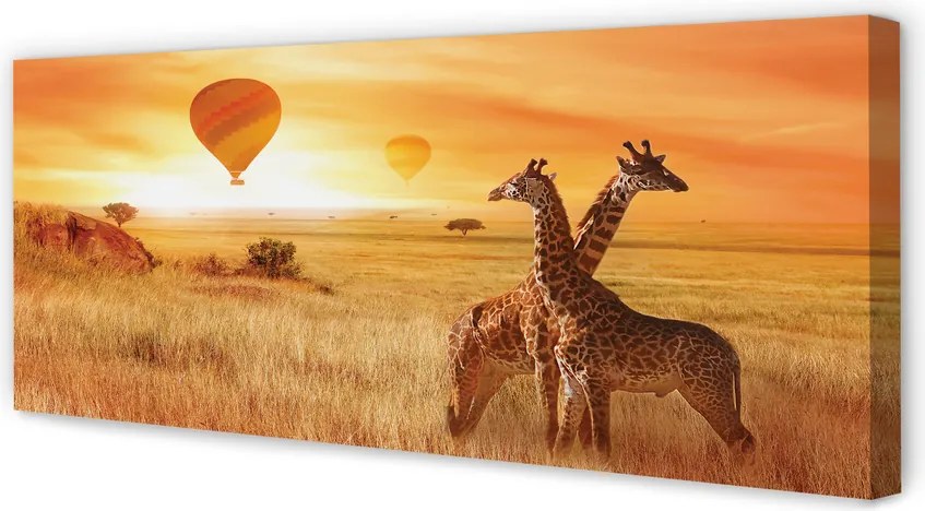 Fotoobraz na płótnie Żyrafy i Balony na Niebie