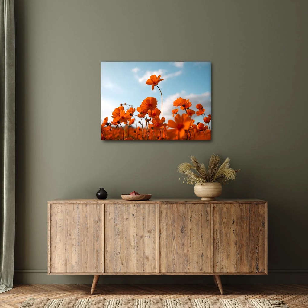 Obraz - Łąkowe kwiaty (70x50 cm)