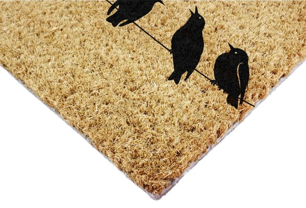 Wycieraczka z włókna kokosowego 40x60 cm Birds On a Wire – Artsy Doormats