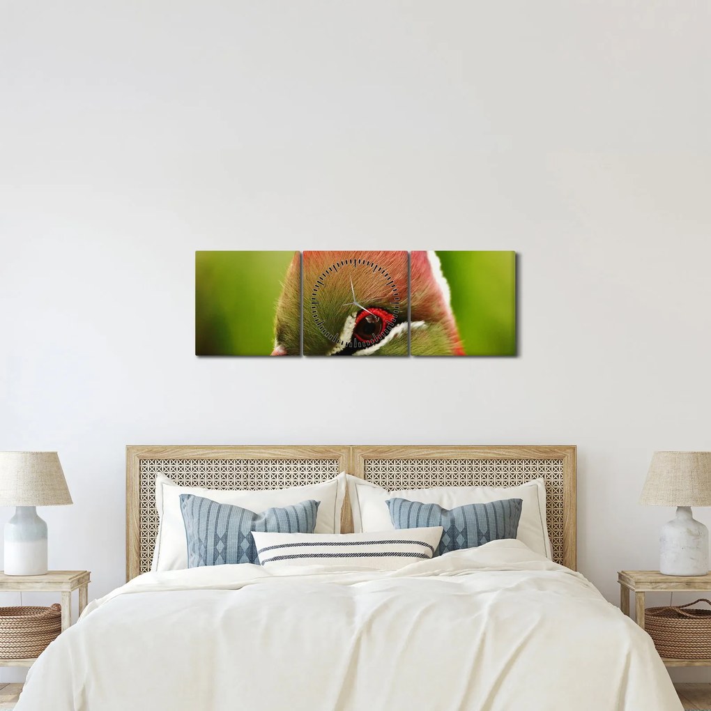 Obraz kolorowego ptaka (z zegarem) (90x30 cm)