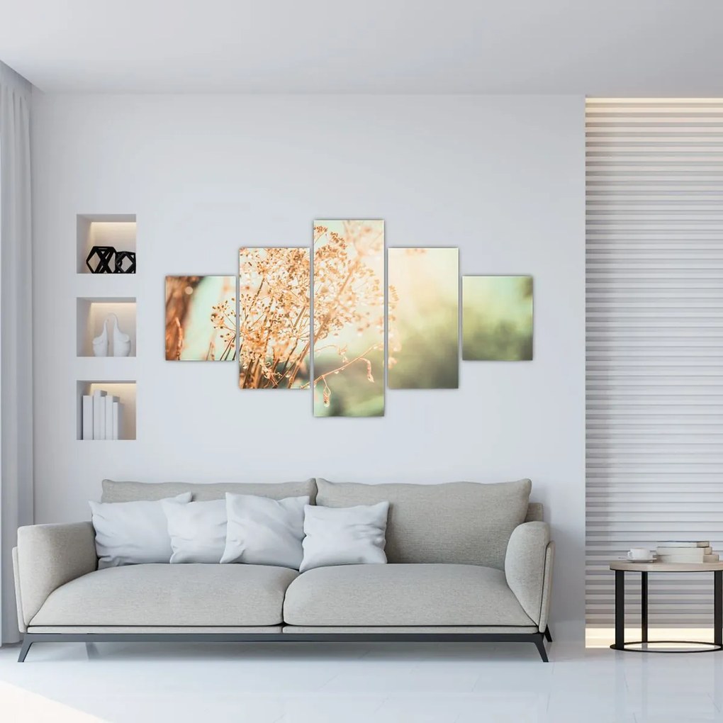 Obraz - Rośliny po deszczu (125x70 cm)