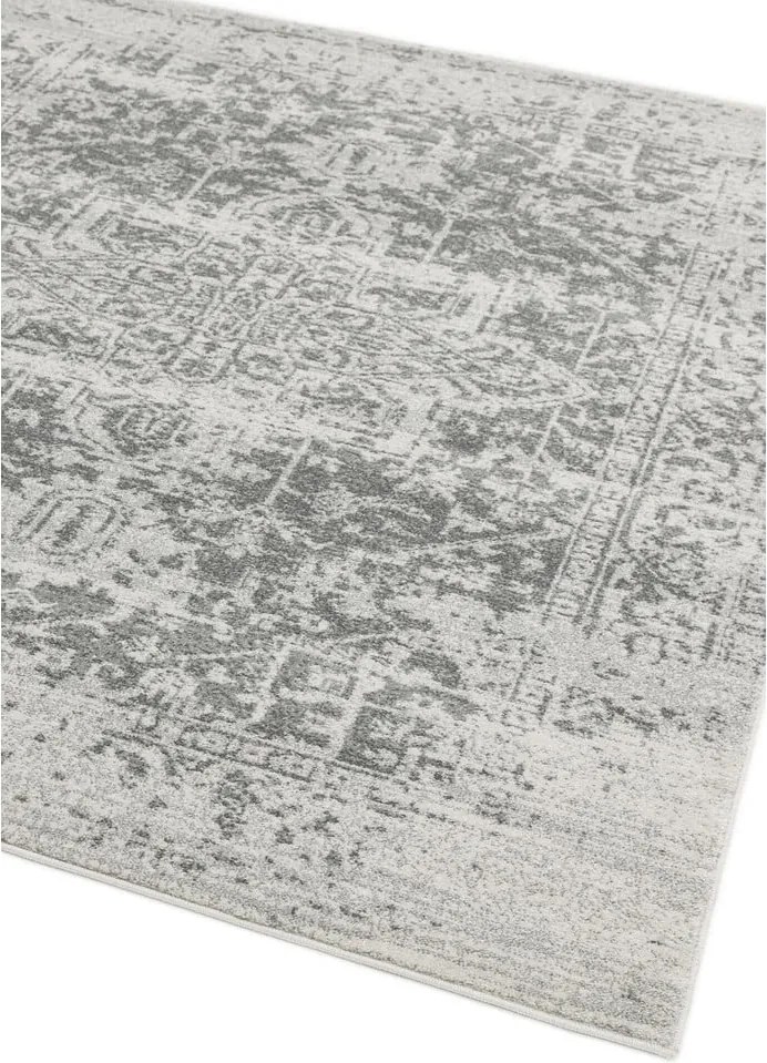 Szary dywan 80x150 cm Nova – Asiatic Carpets