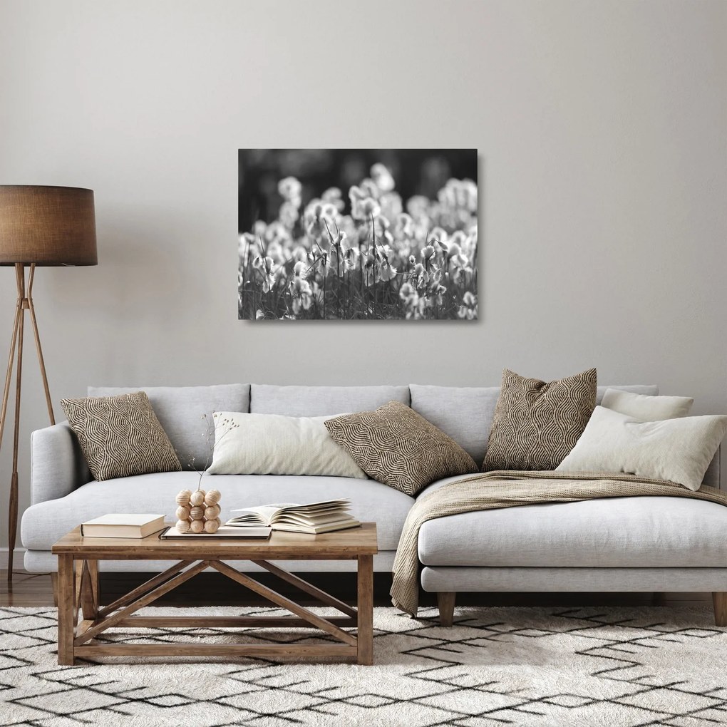 Obraz na szkle - Letnia łąka (70x50 cm)