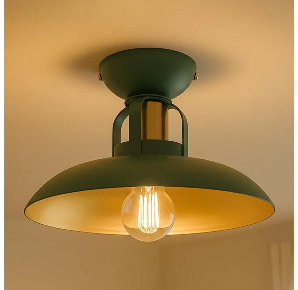 Brilagi - LED Żyrandol natynkowy FLAMENGO 1xE27/60W/230V zielony