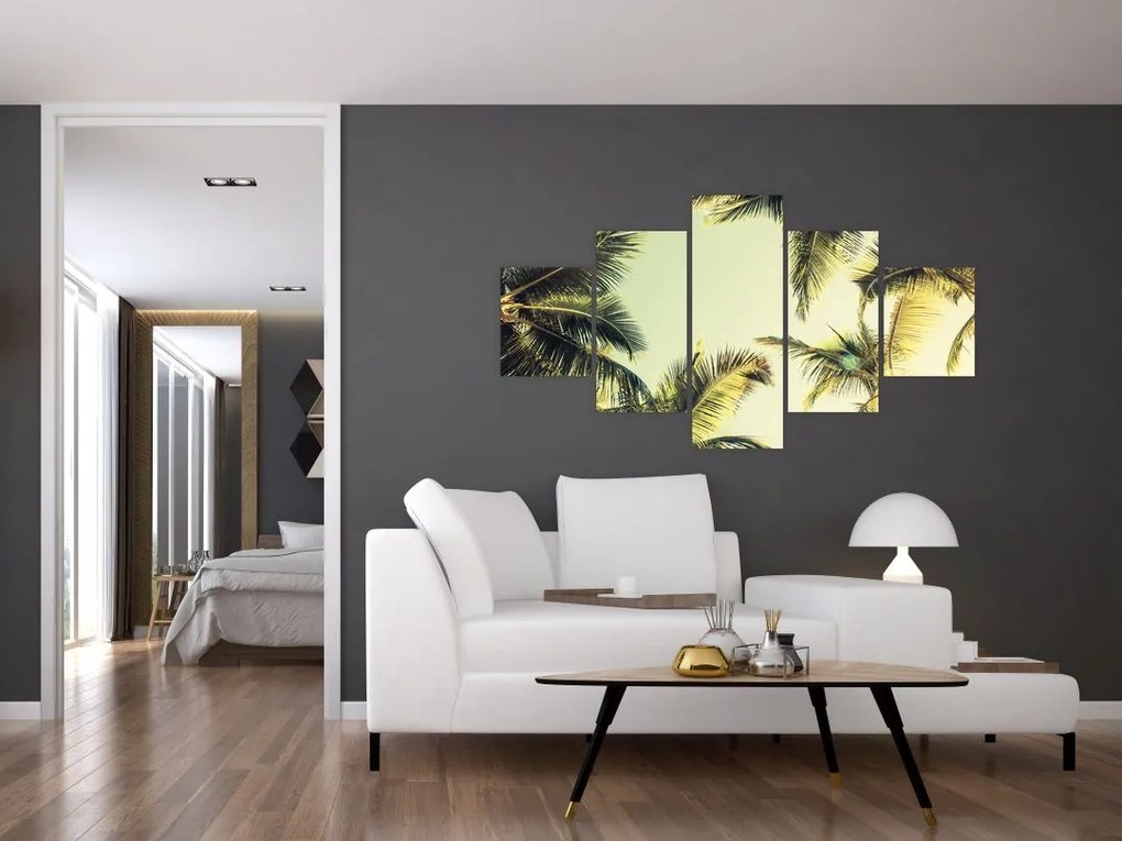 Obraz z palmami kokosowymi (125x70 cm)
