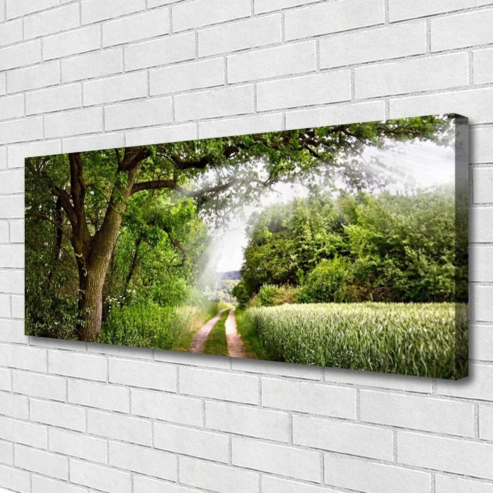 Fotoobraz na płótnie Ścieżka przez Słoneczny Las