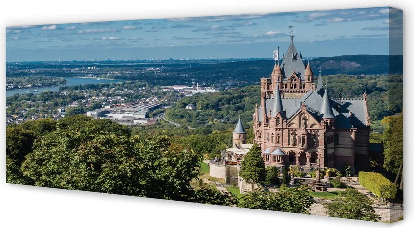 Obraz canvas na ścianę Panorama Miasta z Widokiem na Zamek