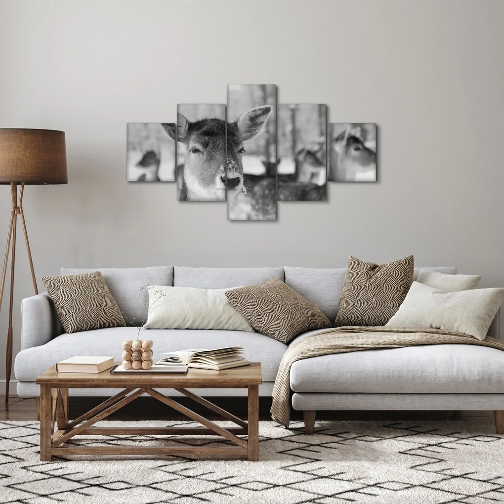 Obraz - Jelonki, czarno - biały (125x70 cm)