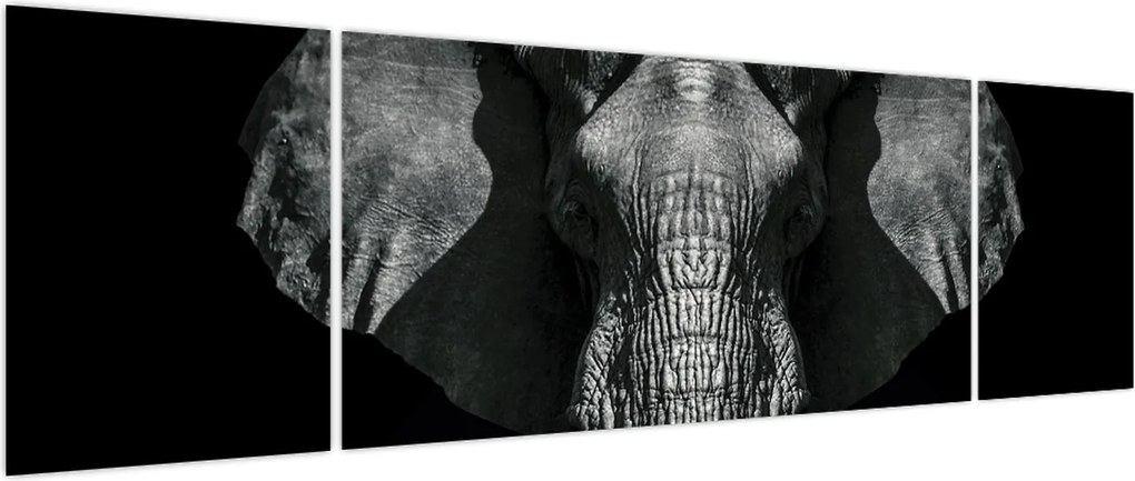 Obraz - Słoń na czarnym tle (170x50 cm)