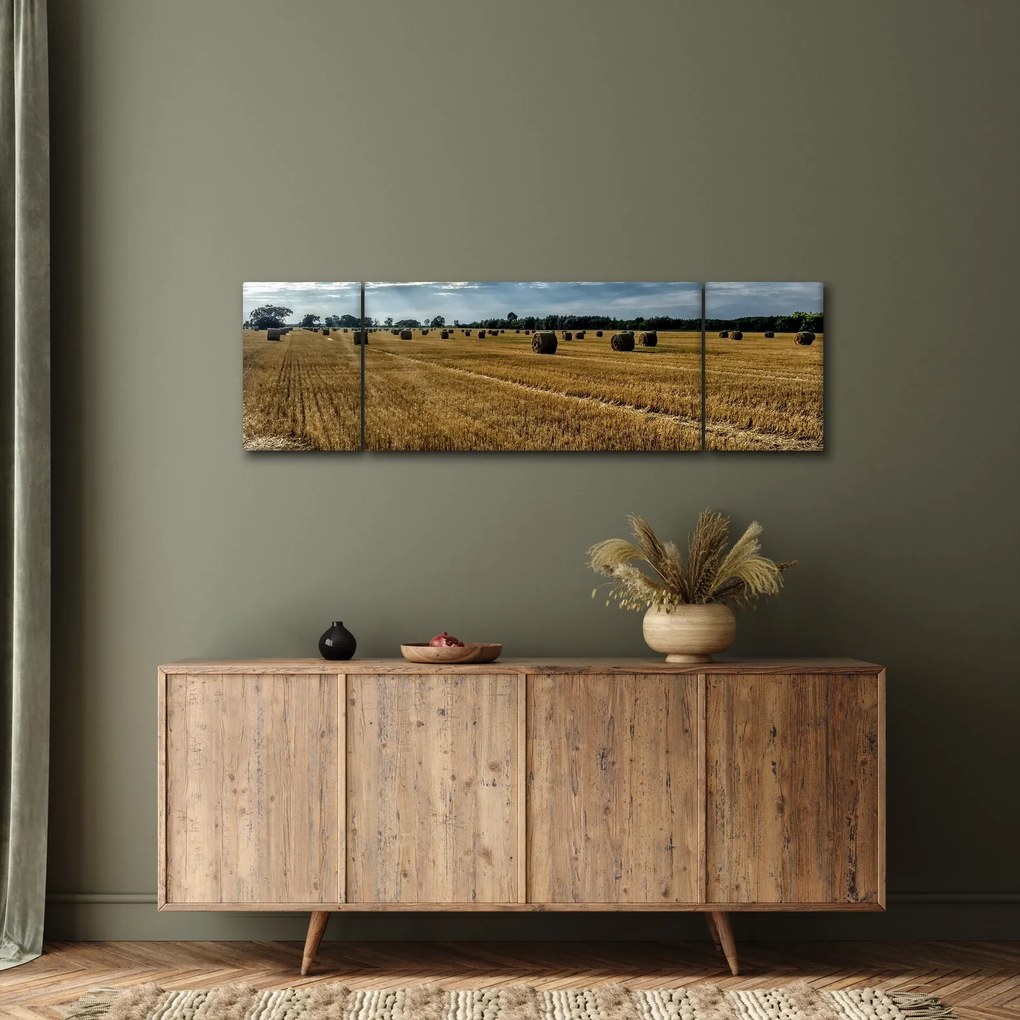 Obraz zebranego pola zboża (170x50 cm)