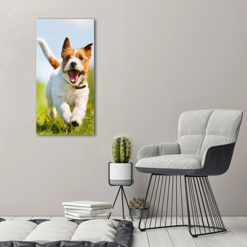 Foto obraz na płótnie pionowy Pies Jack Russell