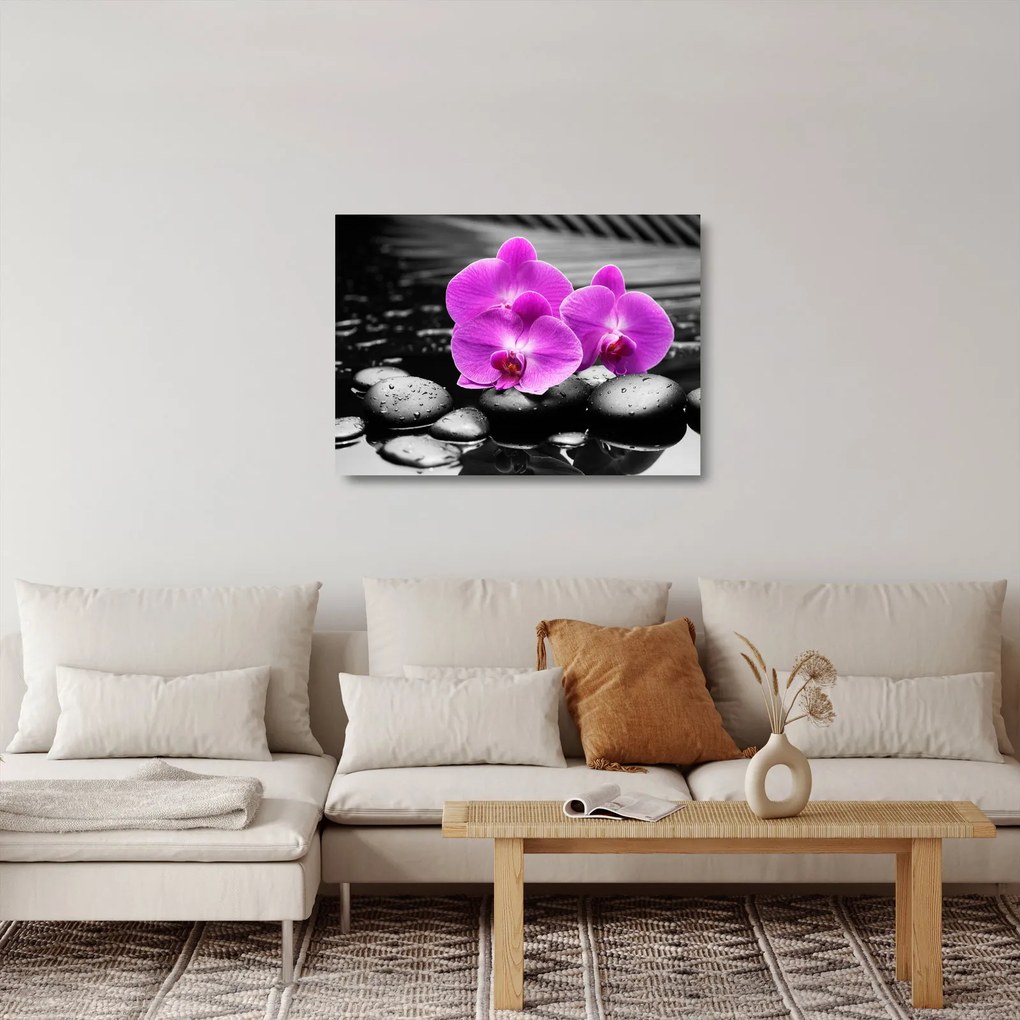 Obraz na szkle - Fioletowe orchidee (70x50 cm)