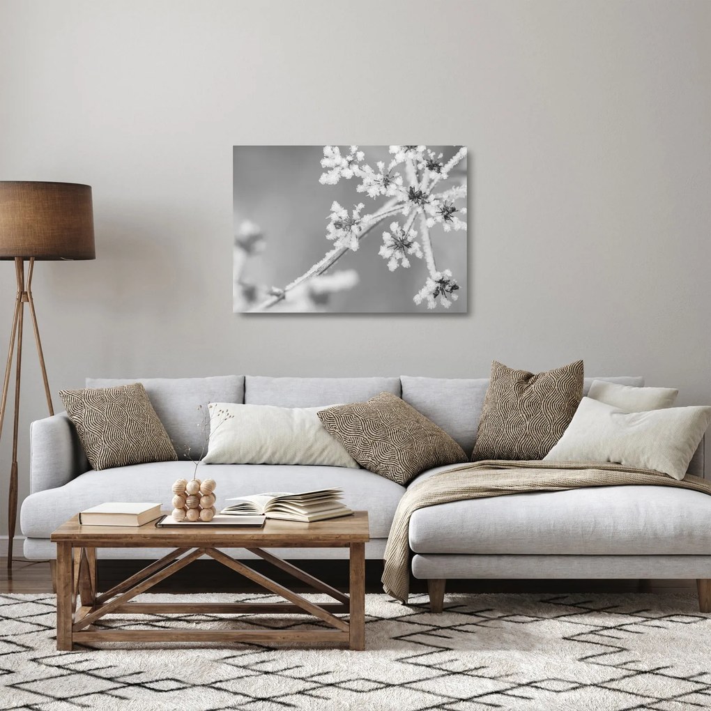 Obraz na szkle - Mrożona roślina (70x50 cm)