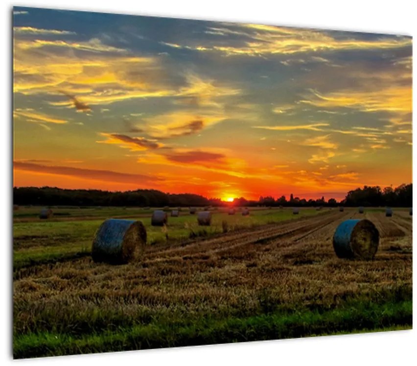Obraz - Wiejskie bale (70x50 cm)