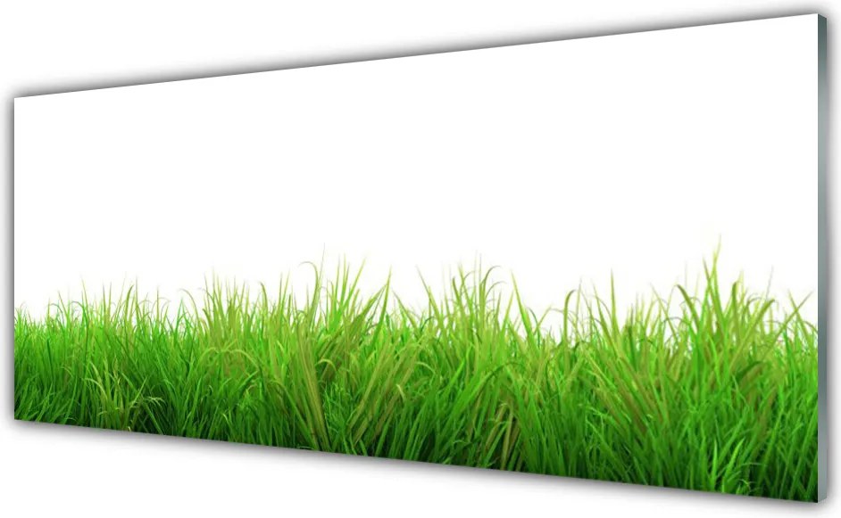 Panel Szklany Soczysta Zielona Trawa