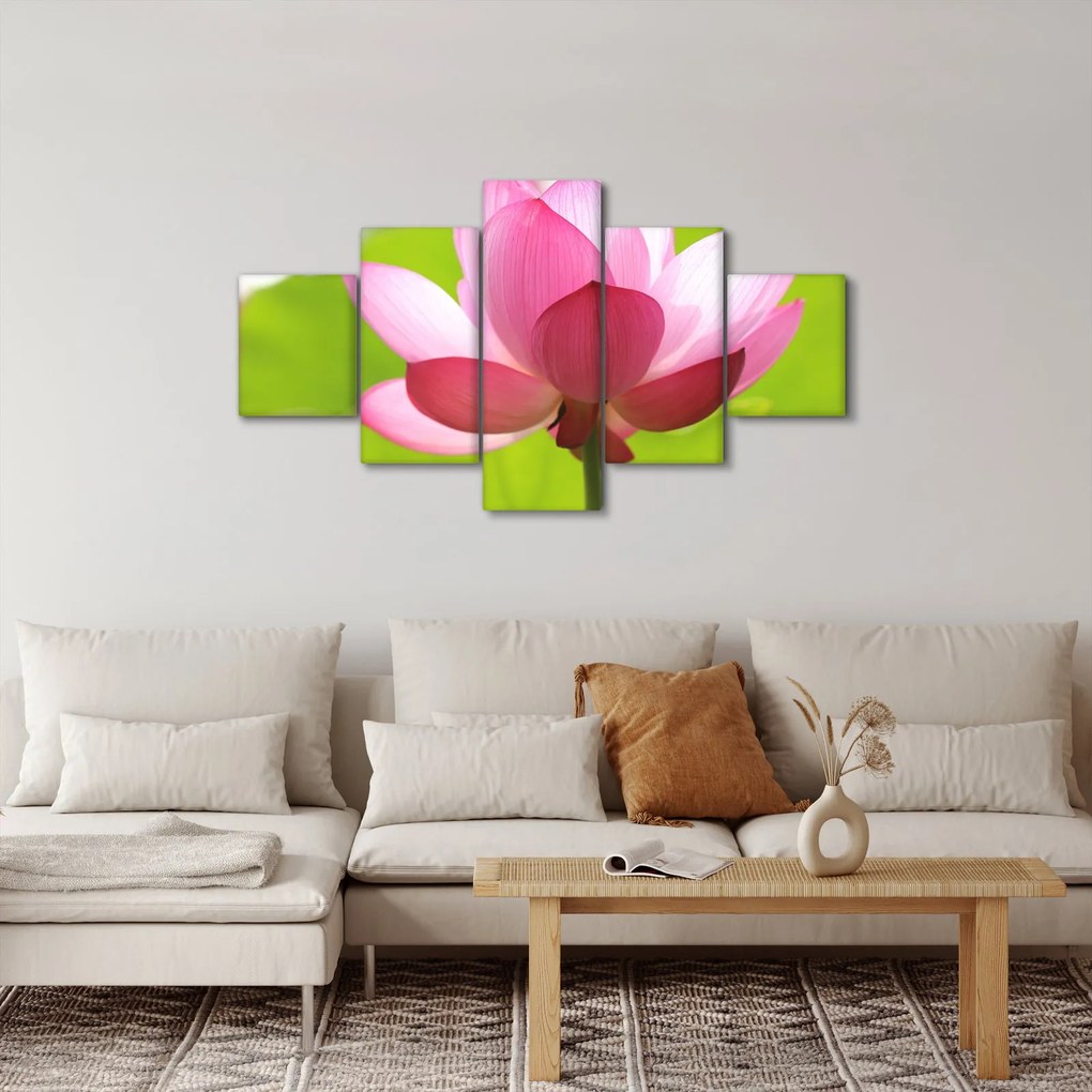 Obraz kwiatu lotosu (125x70 cm)