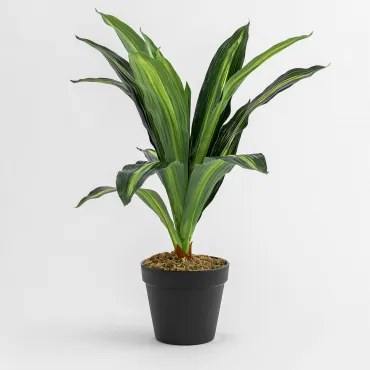 Dekoracyjna Sztuczna Roślina Dracaena 40 Cm 40 Cm - Sklum