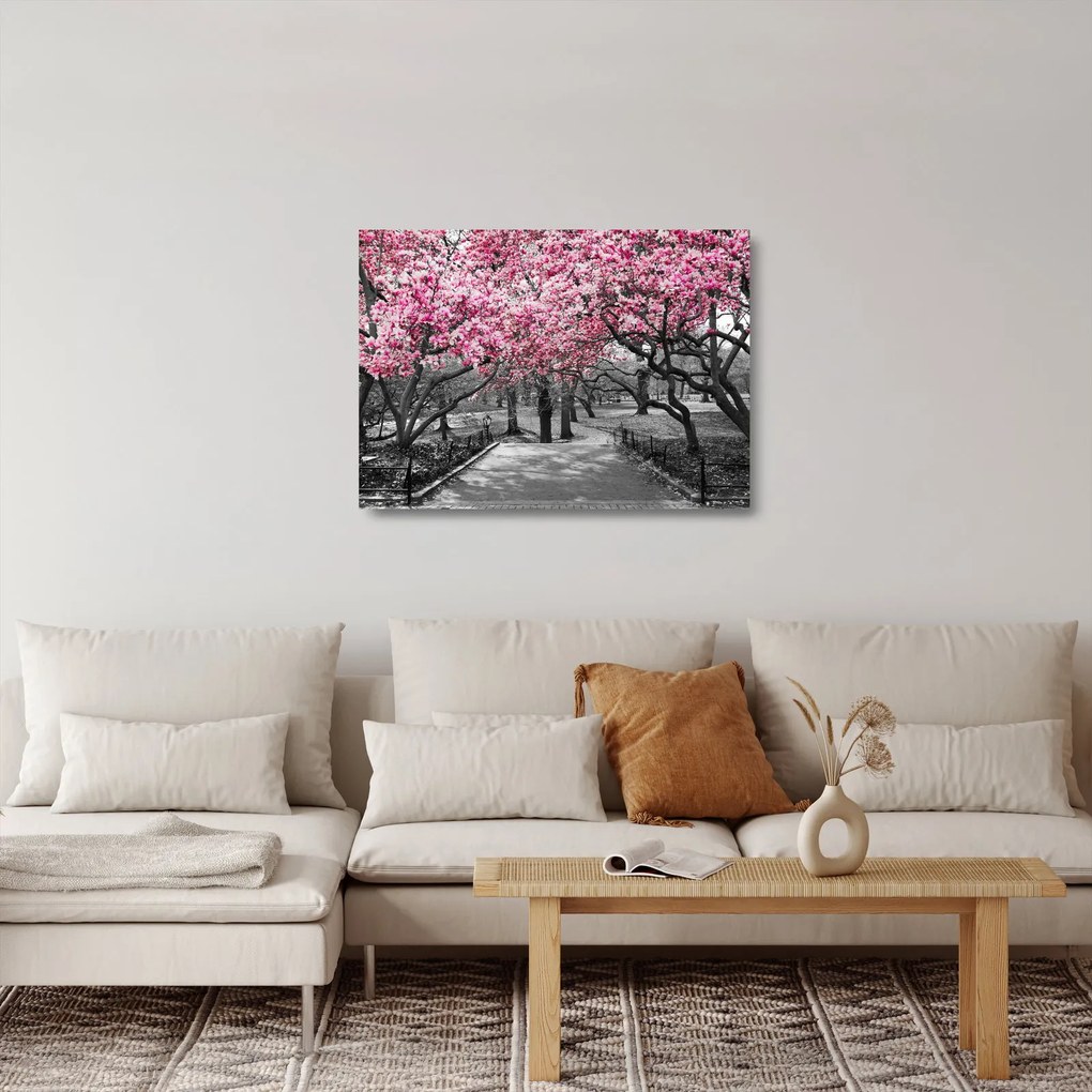 Obraz na szkle drzew magnolii (70x50 cm)