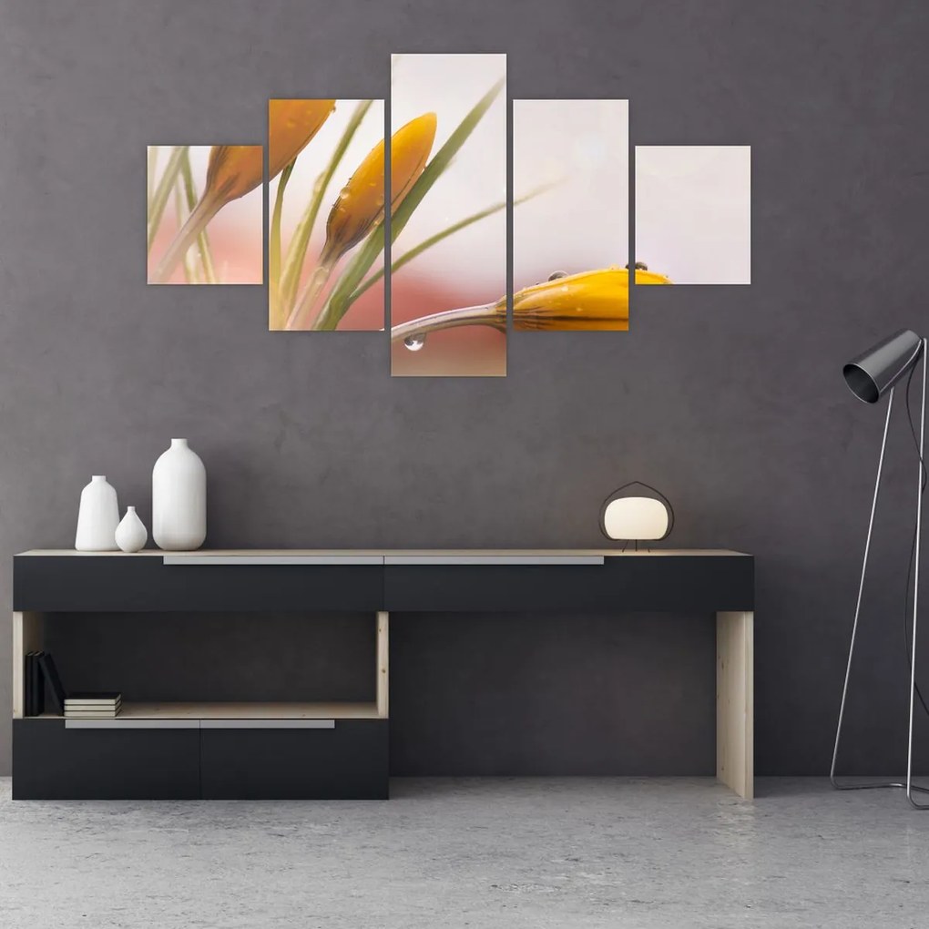 Obraz - Wiosenne kwiaty (125x70 cm)