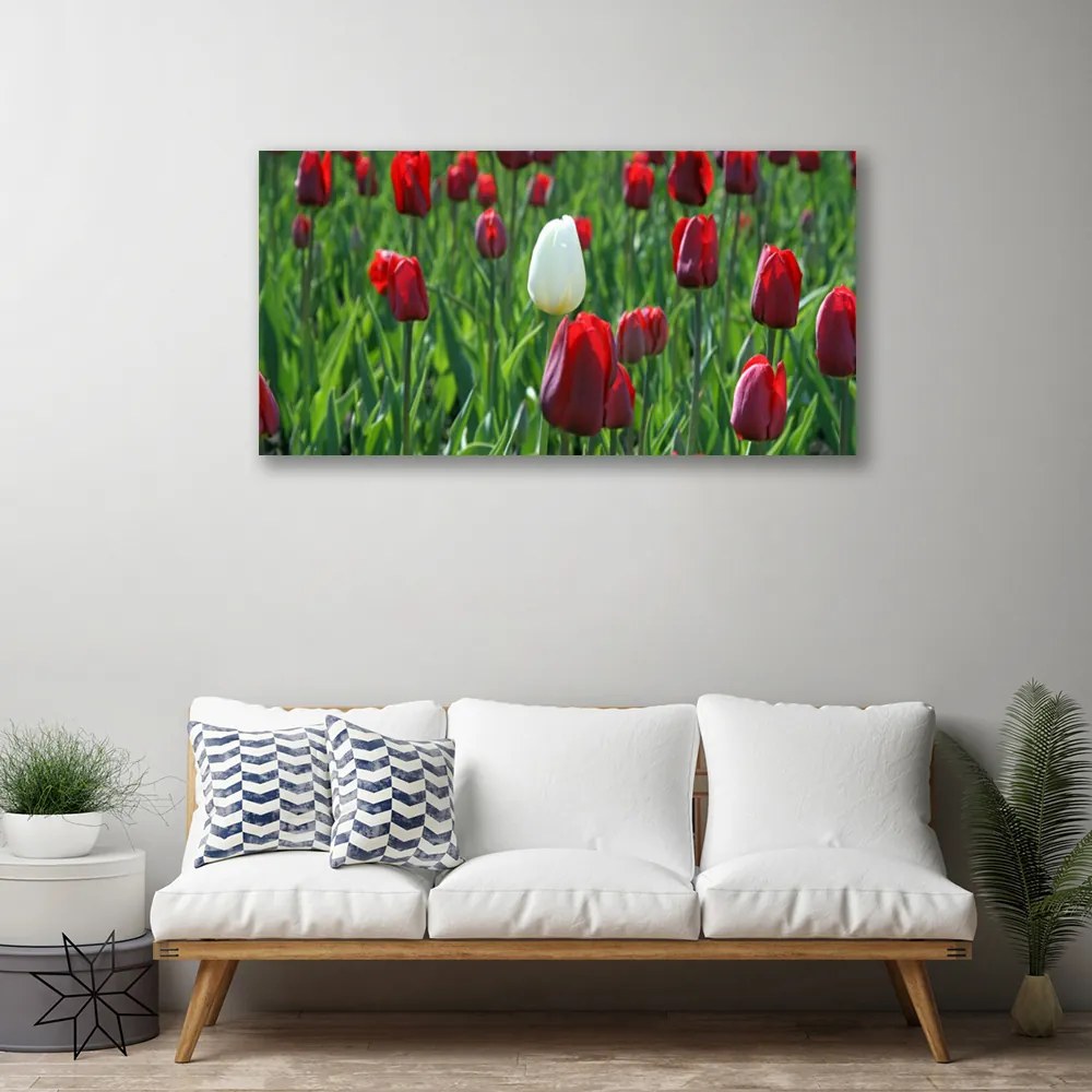 Obraz Canvas Tulipany Kwiaty Natura