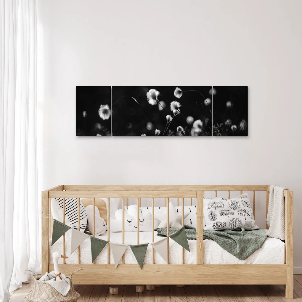 Obraz - Łąka z trawą bawełnianą N⁰1 (170x50 cm)