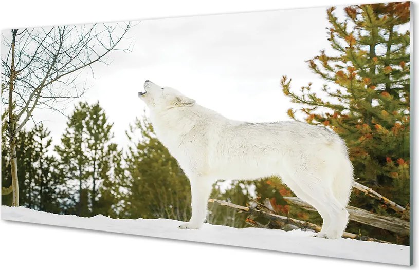 Panel nad Blat Kuchenny Wilk w Śnieżnej Puszczy