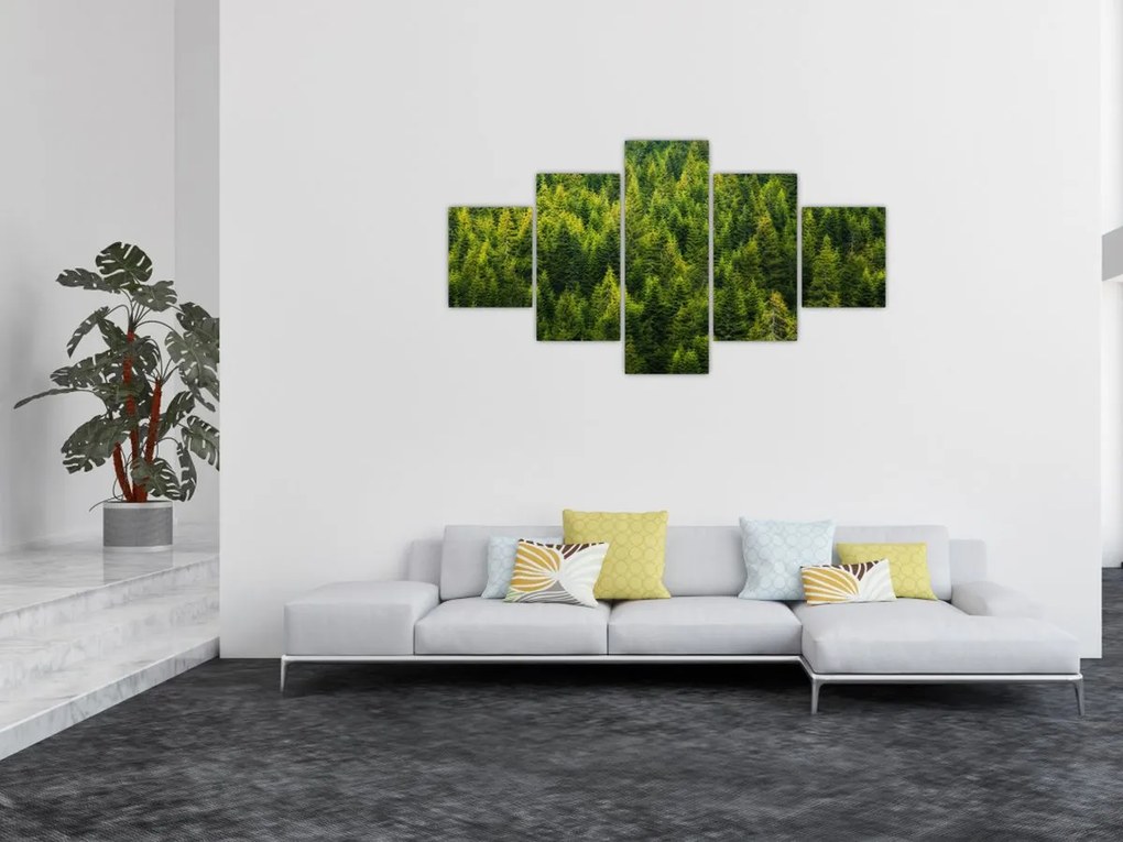 Obraz - Gęsty las (125x70 cm)