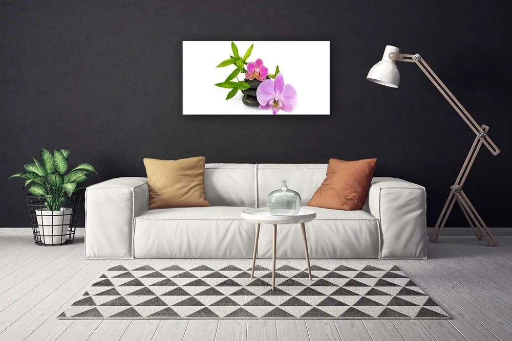 Obraz canvas Klasyczna Biała Orchidea