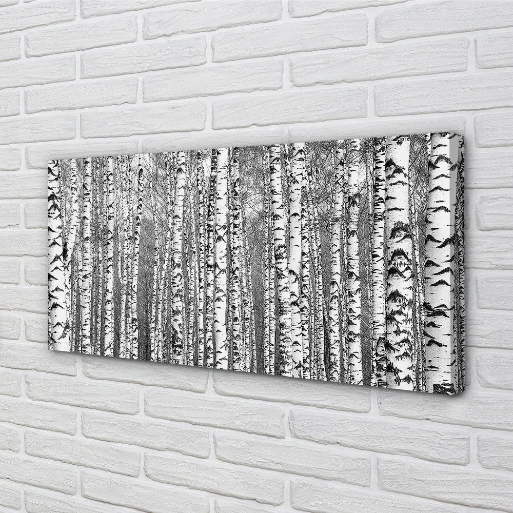 Obraz drukowany na płótnie Czarno-Białe Drzewa