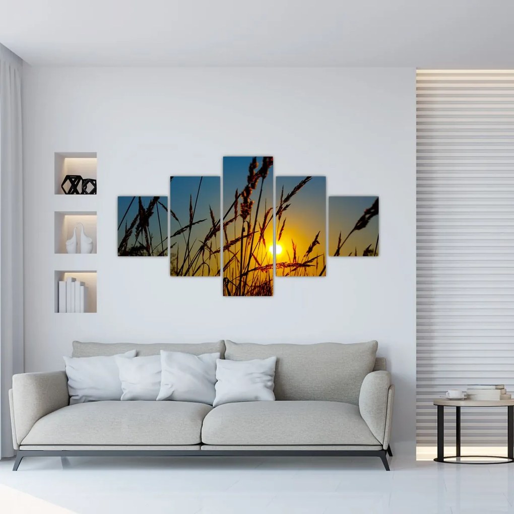 Obraz - Zachód słońca na łące (125x70 cm)