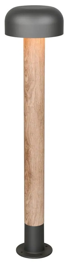 Lampa zewnętrzna typu słupek ø 19 cm Fraser – Trio