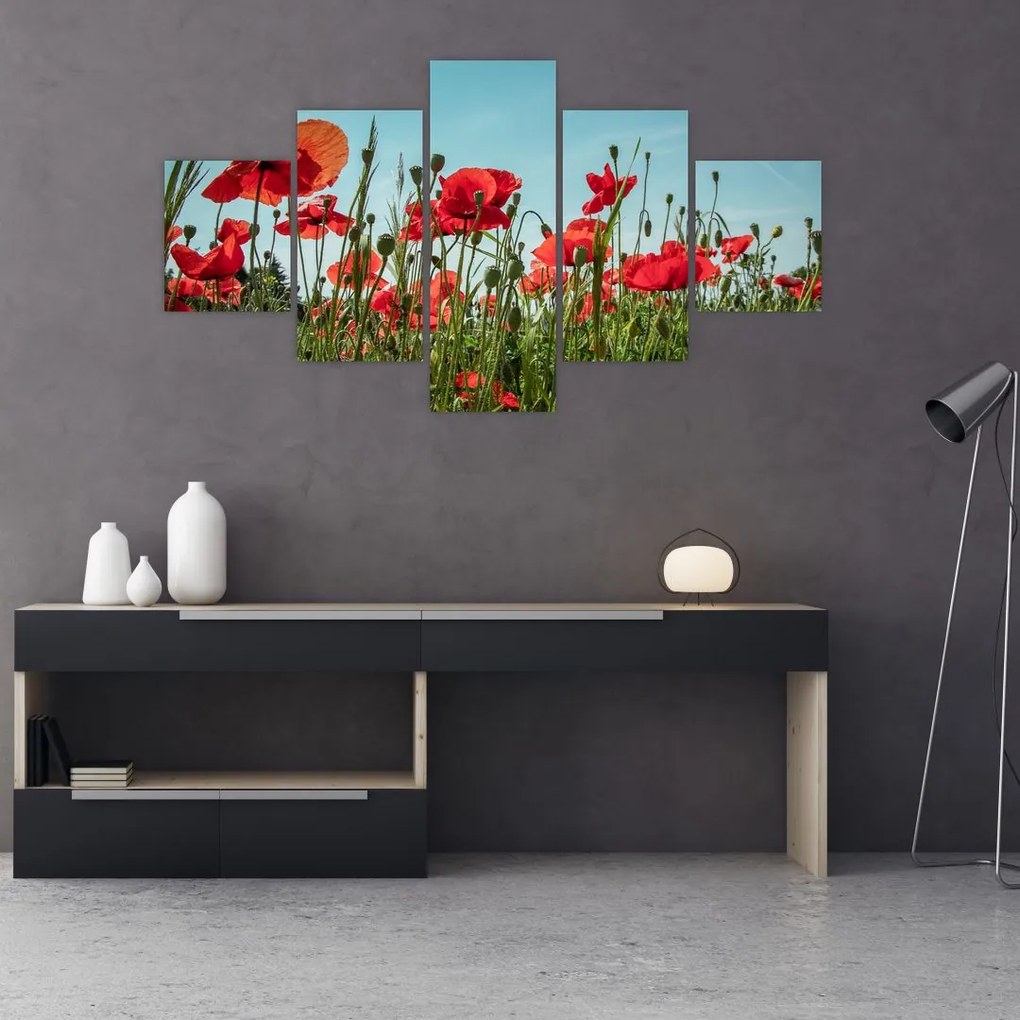 Obraz - Na polu maków (125x70 cm)