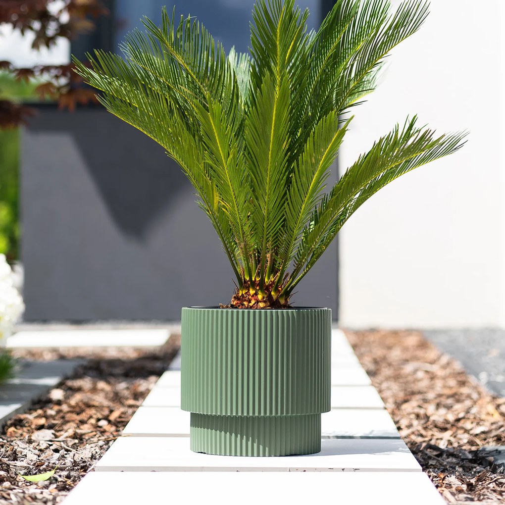 Donica ogrodowa z wkładem Milly 30 x 30 x 28,5 cm zielona pinia PROSPERPLAST